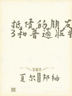 抵债的朋友麦子3和普通版对比