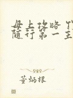 母上攻略 竹影随行第一主板