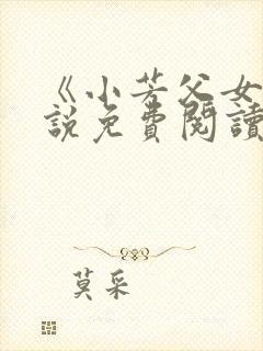 《小芳父女》小说免费阅读封面