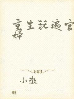 重生玩遍官场贵妇