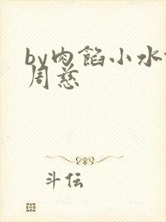by肉馅小水饺周慈封面