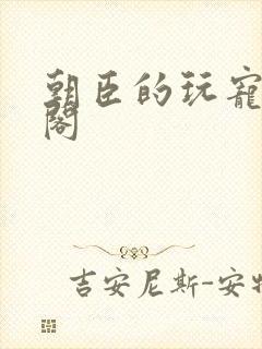 朝臣的玩宠笔趣阁