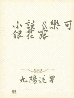 小说《乐可》金银花露封面