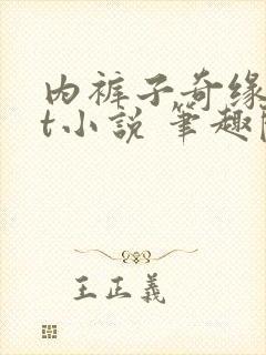 内裤子奇缘txt小说 笔趣阁封面