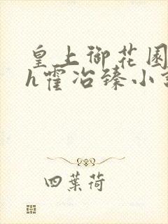 皇上御花园hlh霍冶臻小说