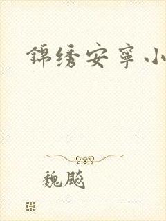 锦绣安宁小说