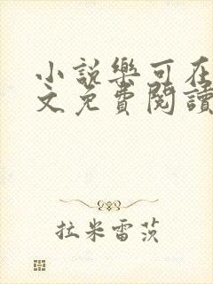 小说乐可在线全文免费阅读笔趣阁下载网站