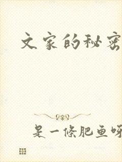 文家的秘密