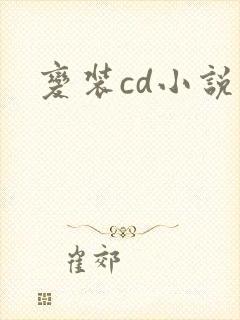 变装cd小说封面