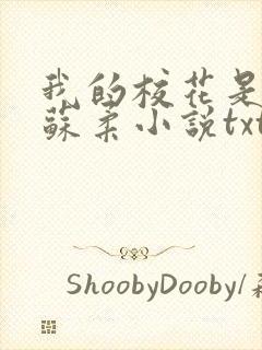 我的校花是福姬苏柔小说txt封面