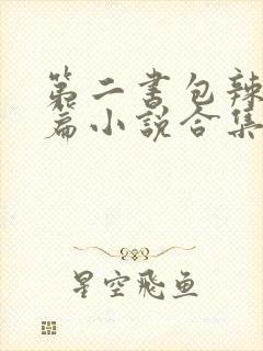 第二书包辣网短篇小说合集