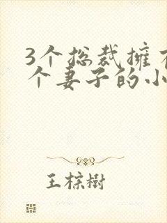 3个总裁拥有一个妻子的小说封面