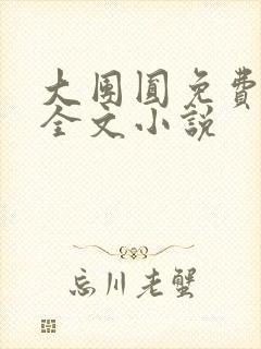 大团圆免费阅读全文小说