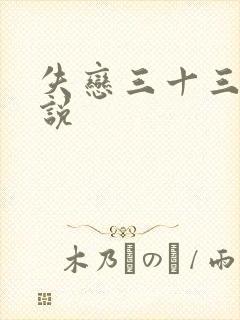 失恋三十三天小说