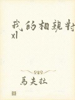 我的相亲对象是xl封面