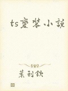 ts变装小说封面