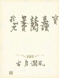 我是林喜宝小说免费阅读