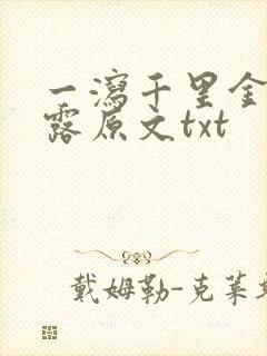 一泻千里金银花露原文txt封面