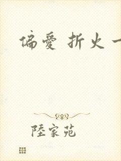 偏爱 折火一夏封面