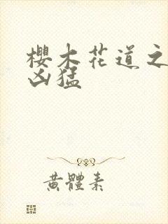 樱木花道之重生凶猛