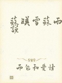 苏映雪苏雨柔小说封面
