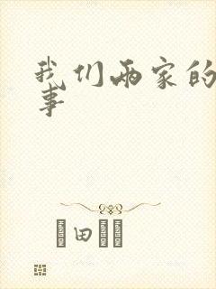 我们两家的荒唐事封面