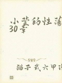 小莹的性荡生活30章封面