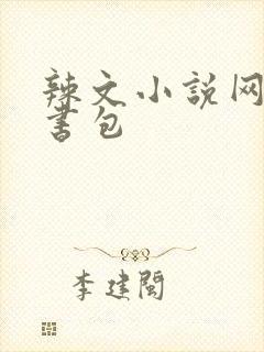 辣文小说网第二书包