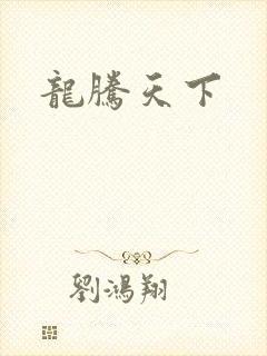 龙腾天下