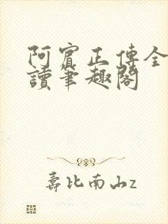 阿宾正传全文阅读笔趣阁