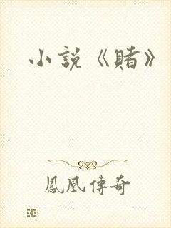 小说《赌》封面