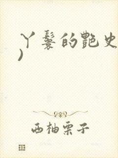 丫鬟的艳史(H)封面