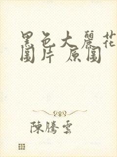 黑色大丽花真实图片 原图封面