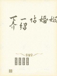 下一站婚姻剧情介绍