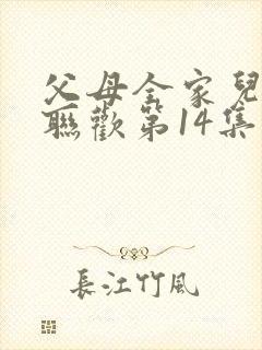 父母全家儿女大联欢第14集