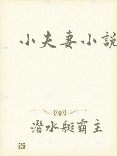 小夫妻小说