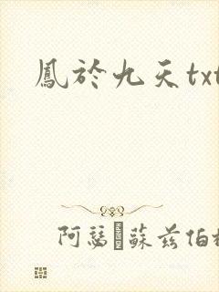 凤于九天txt