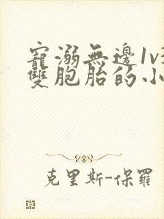 宠溺无边1v3双胞胎的小说