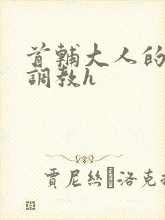 首辅大人的花式调教h