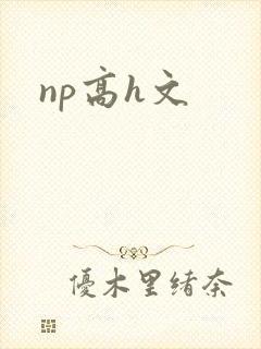 np高h文
