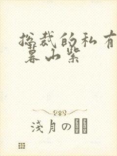 总裁的私有宝贝 暮山紫封面