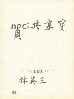 npc:共享宝贝