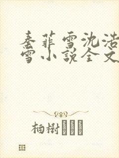 秦菲雪沈浩秦菲雪小说全文免费阅读求书