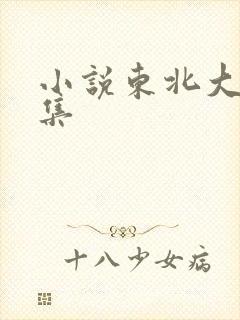 小说东北大炕全集