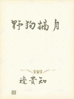 野狗摘月