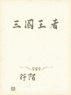 三国王者封面