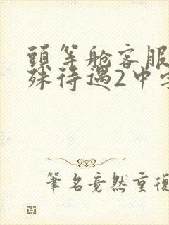 头等舱客服的特殊待遇2中字