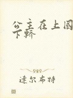 公主在上国师请下轿封面