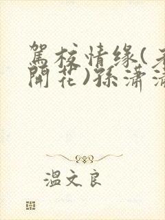 驾校情缘(老树开花)孙潇潇第一次趣笔阁封面