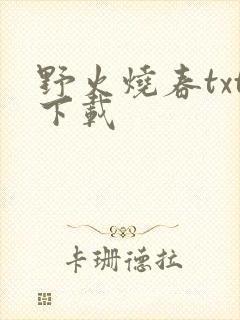 野火烧春txt下载